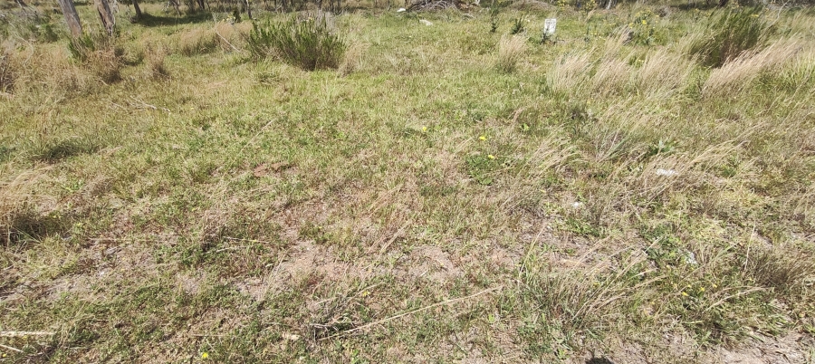 0 Bedroom Property for Sale in Greenbushes Eastern Cape